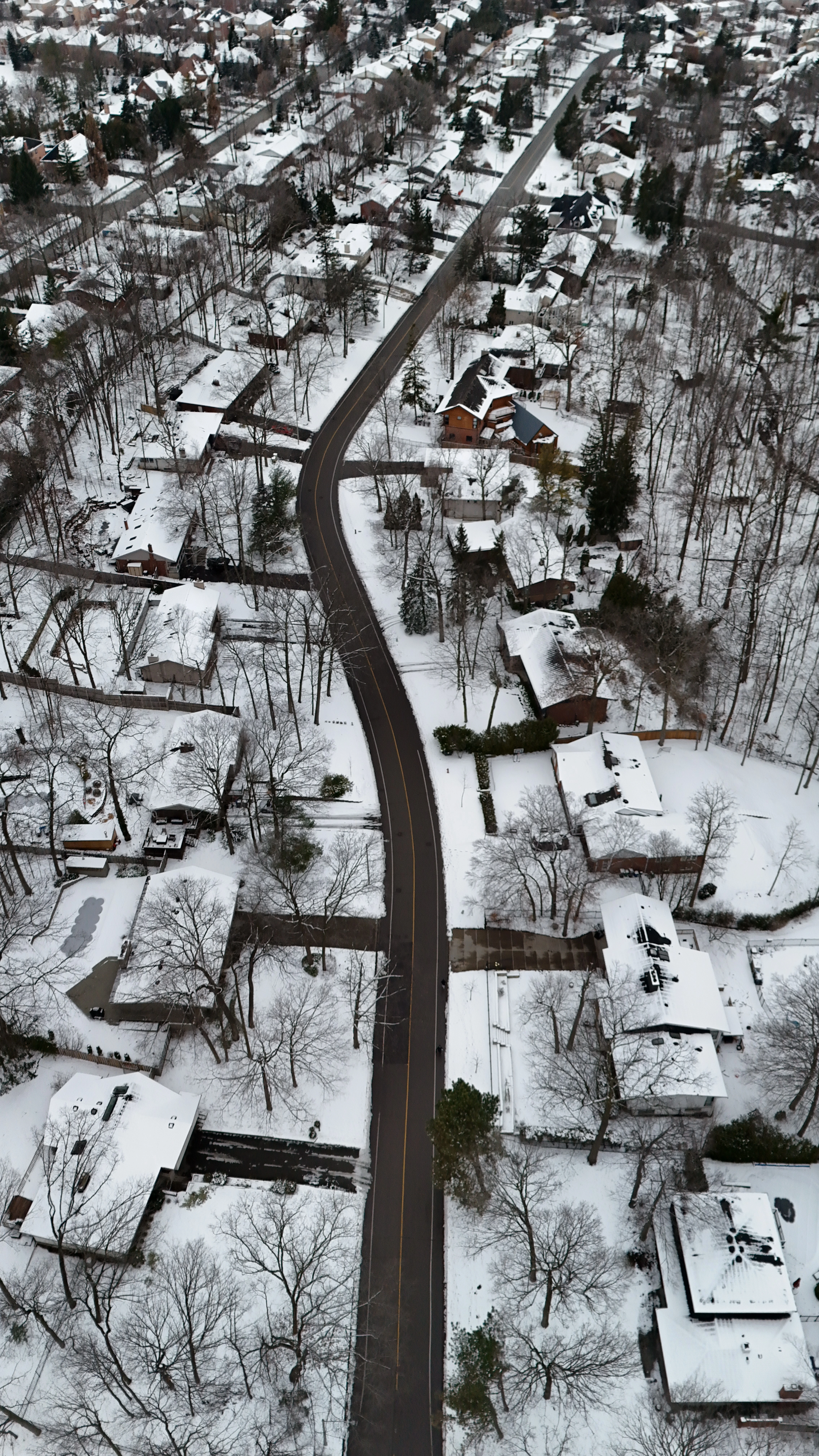 Robin Drive at Christmas, Mississauga, Canada